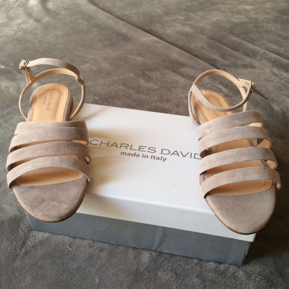 Charles David Shoes - CCO💰NIB Charles David Stripe Suede Sandals